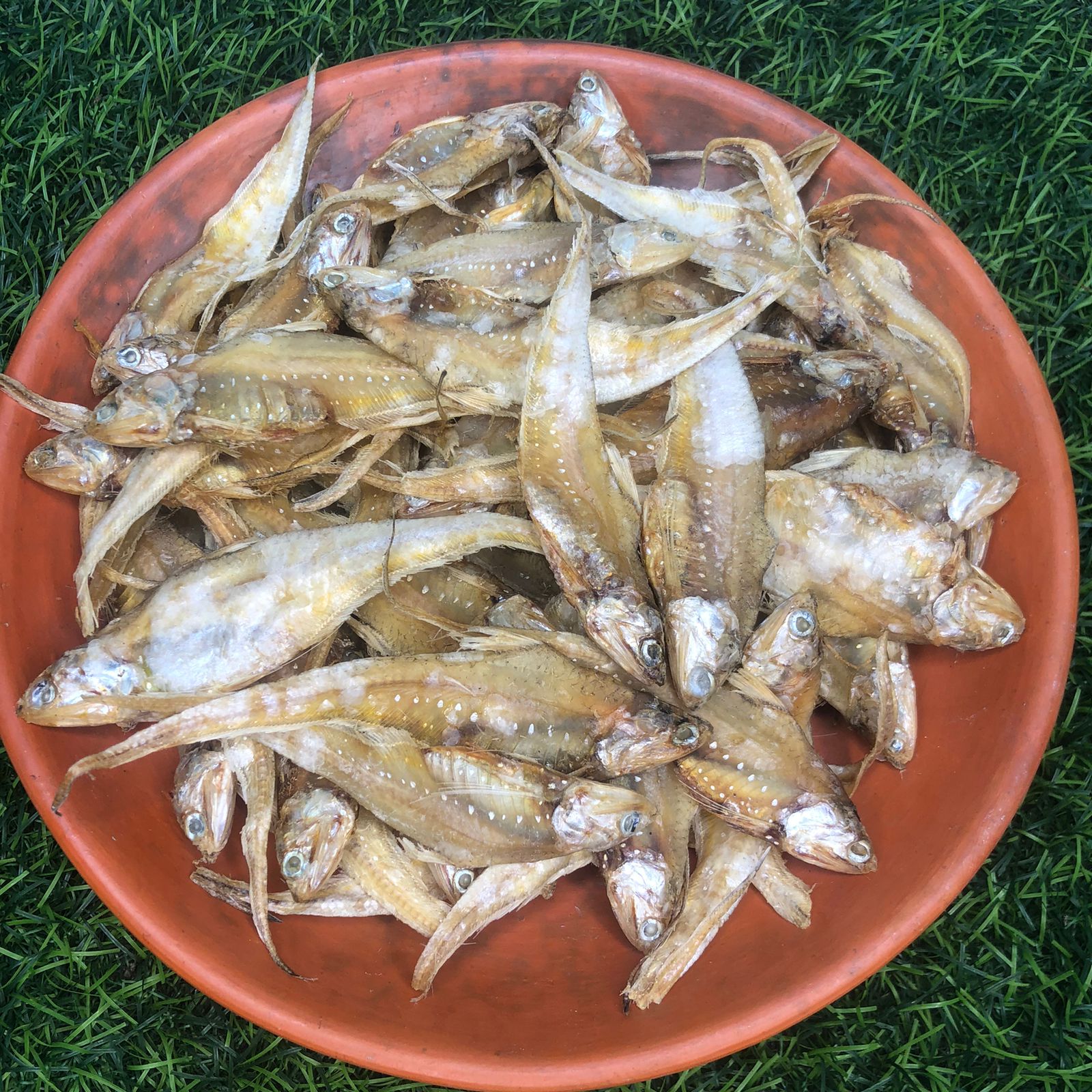 সুন্দরী শুঁটকি