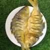 আস্ত নোনা ইলিশ